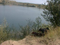 Sidabud1.jpg