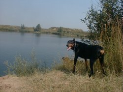 Sidabud3.jpg